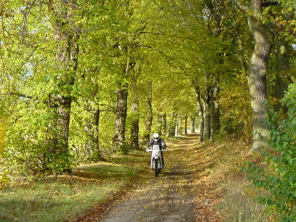 allee_mecklenburg